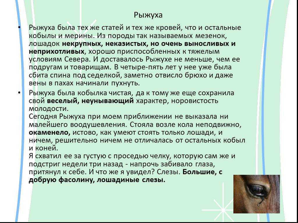 Читать "о чем плачут лошади" краткое содержание