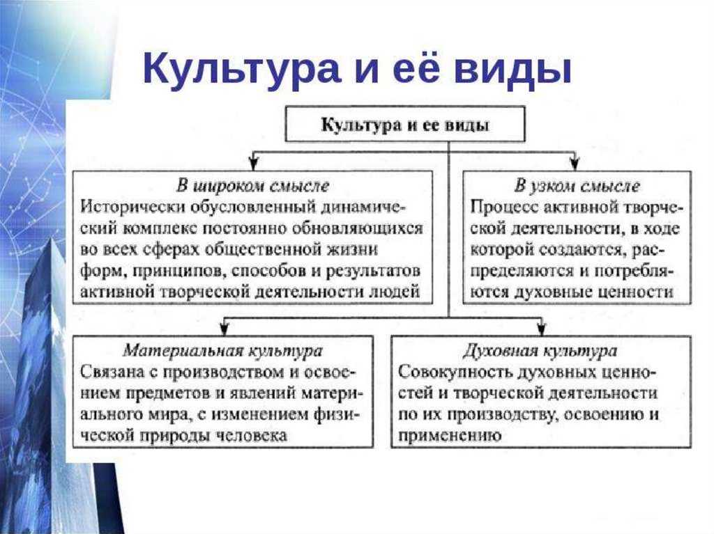 Массовая и элитарная культура | мудрый философ