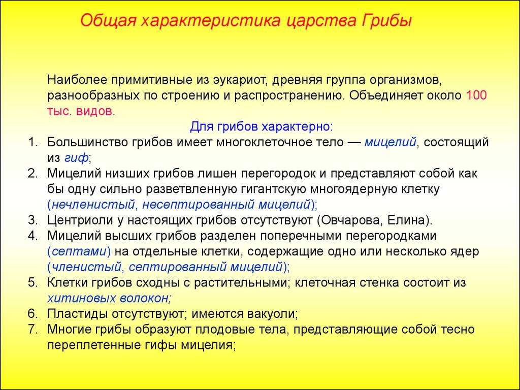 Лишайники