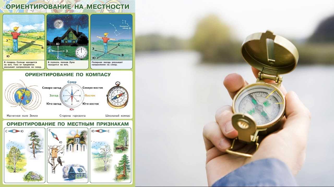 10 способов ориентирования на местности