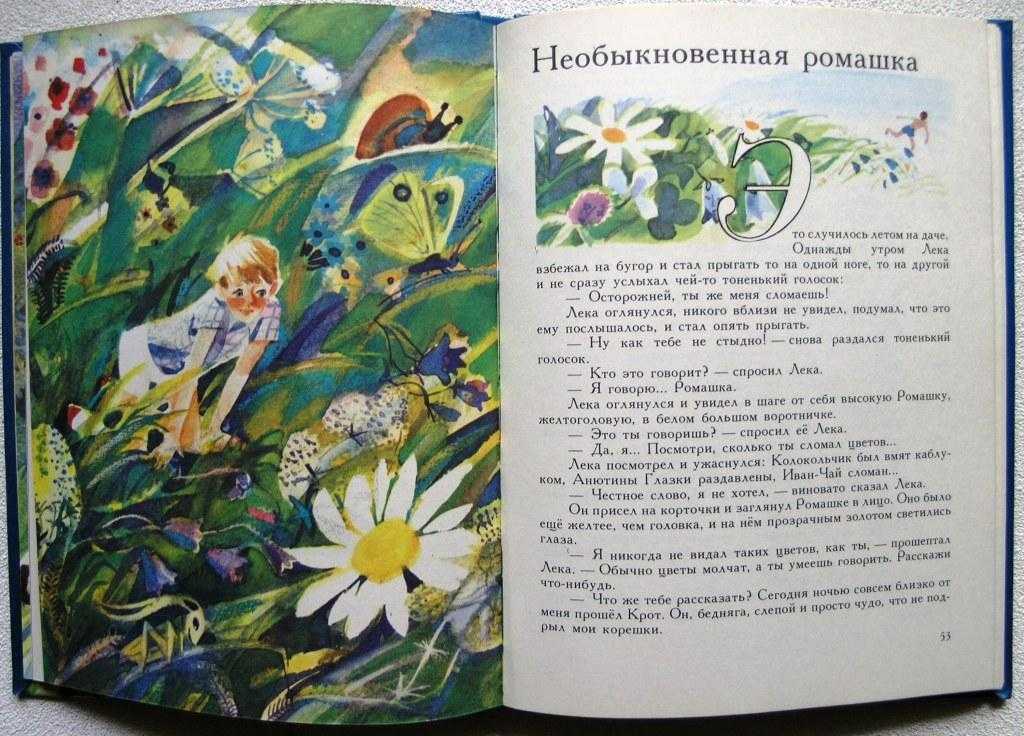 Андерсен сказка "ромашка": главная мысль и секреты составления плана пересказа
