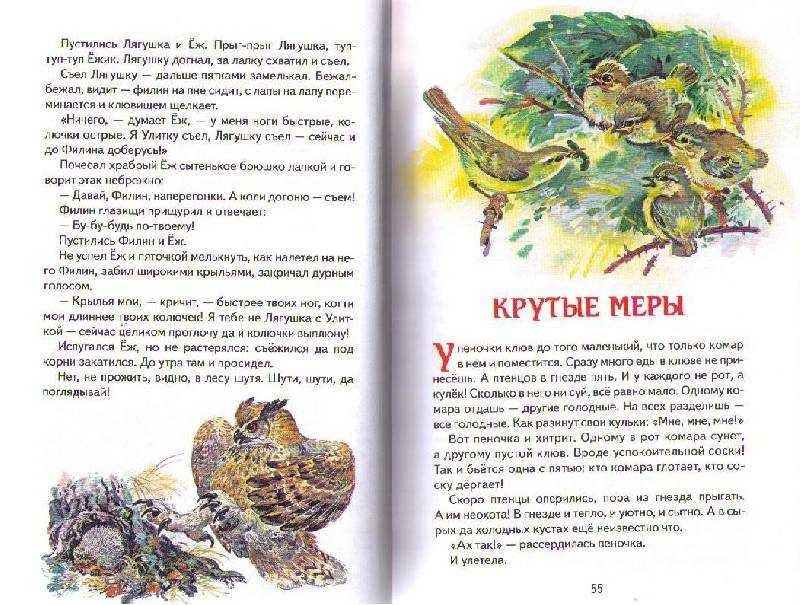 Рассказ хитрющий зайчишка, сладков николай - читать для детей онлайн 👶🏻 (скачать в doc и pdf) ❤️