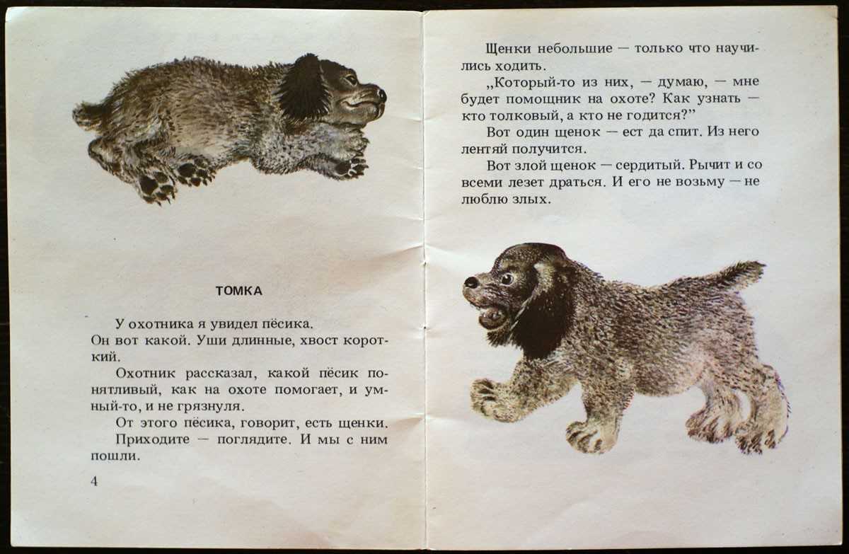 Рассказ и. с. тургенева «воробей» для читательского дневника