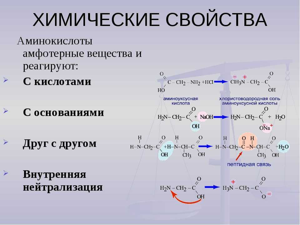 Амины. общая характеристика класса. химия 10 класс