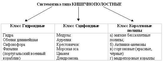 Биология