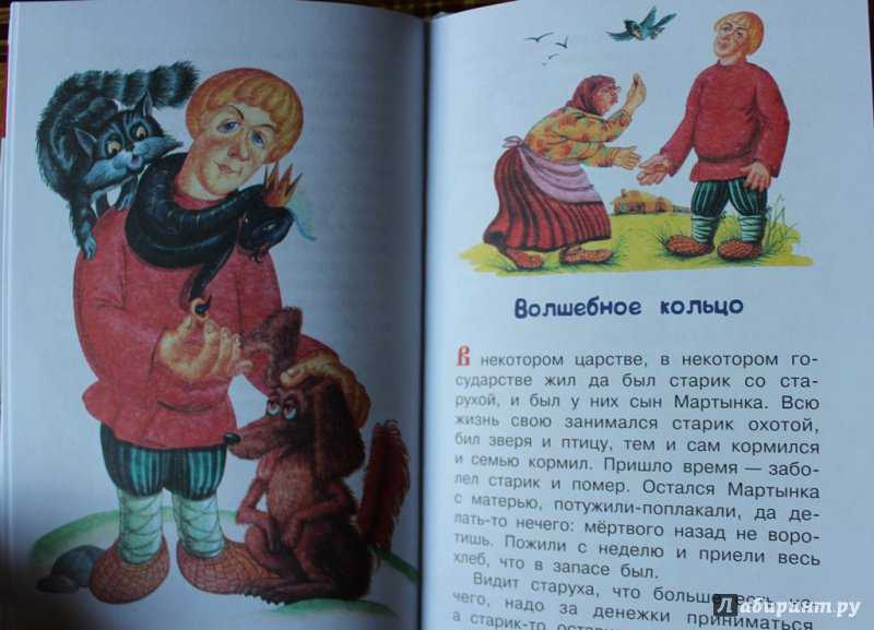 Платонов андрей “волшебное кольцо” читательский дневник, краткое содержание