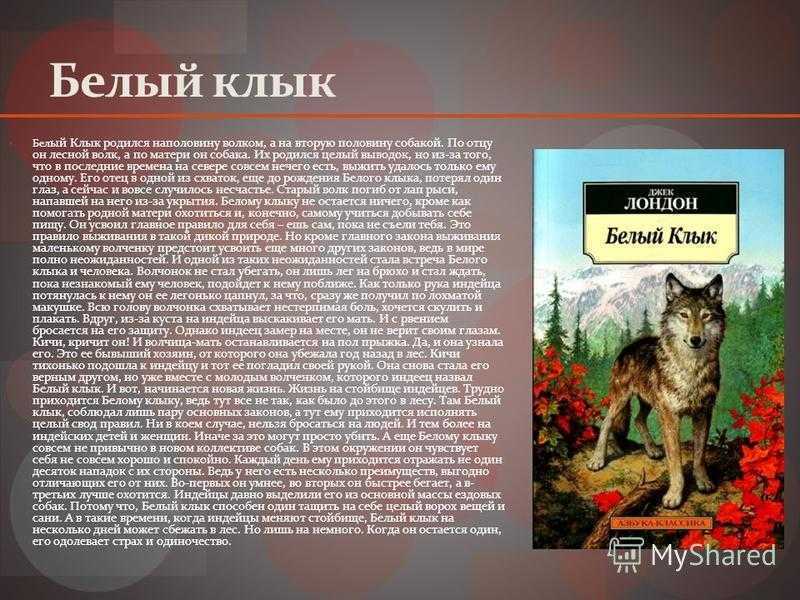 Краткое содержание повести джека лондона «зов предков» | литерагуру