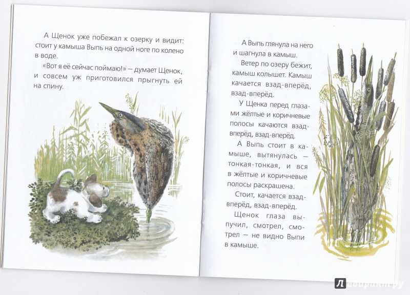 Понемногу: бианки в. "чей нос лучше". краткое содержание для читательского дневника