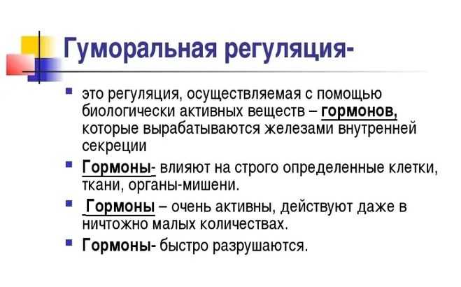 Понятие о системе органов человека: описание и характеристики