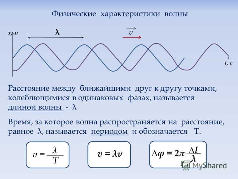 Механические колебания и волны  | кинезиолог