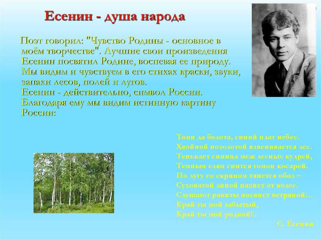 Край любимый сердцу снятся сергей есенин анализ стихотворения