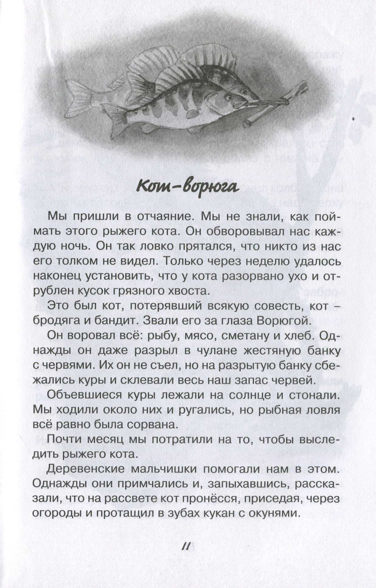 Жёлтый туман · краткое содержание повести волкова