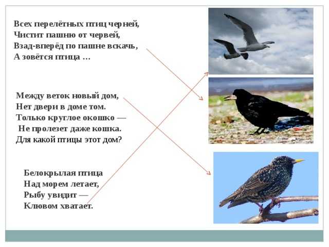 Г. скребицкий «жаворонок» учебно-методический материал по чтению (2 класс) на тему