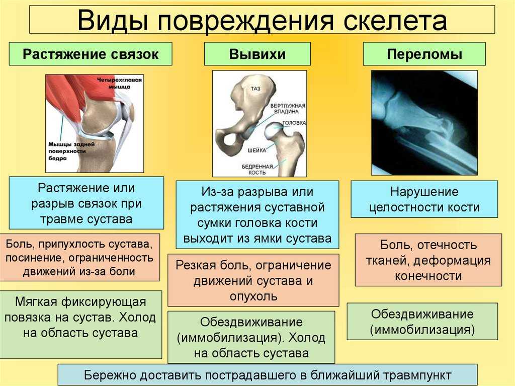Биология пасечник учебник §18 | частная школа. 9 класс