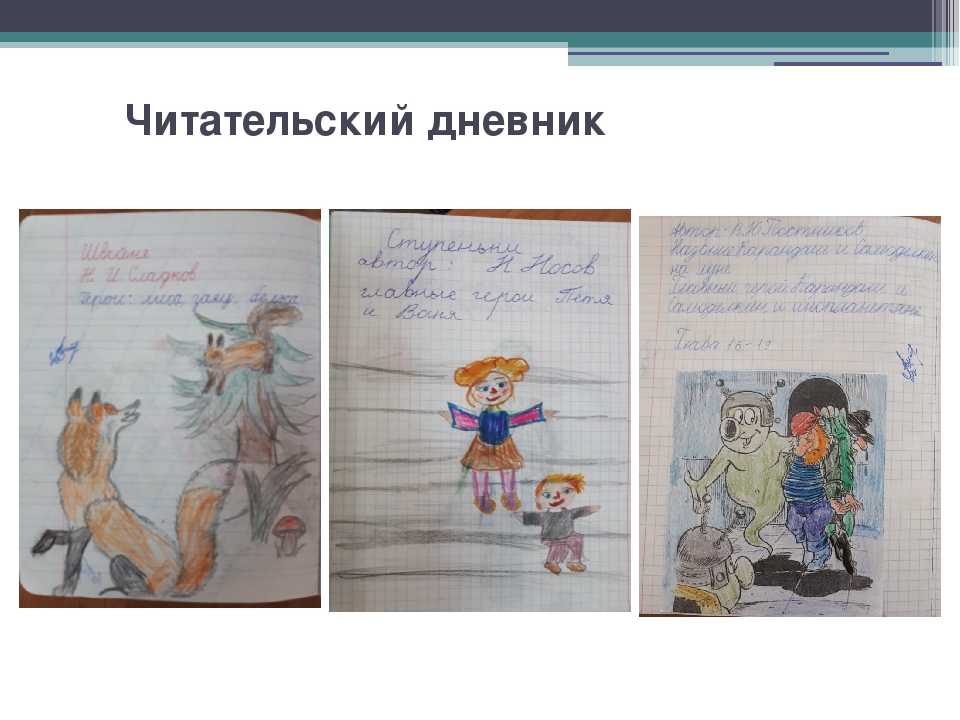 Как правильно составить план рассказа огурцы н носов? советы и рекомендации