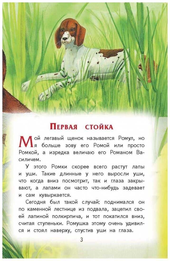 Краткое содержание лесная капель пришвин для читательского дневника