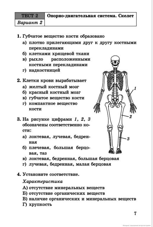 Биология пасечник учебник §8 - частная школа. 5 класс