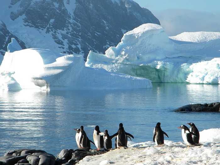 Интересные факты про антарктиду: история, рекорды, загадки