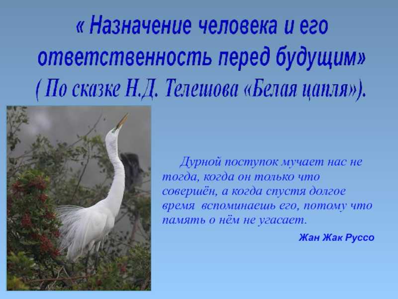 «белая цапля» краткое содержание сказки телешова – читать пересказ онлайн