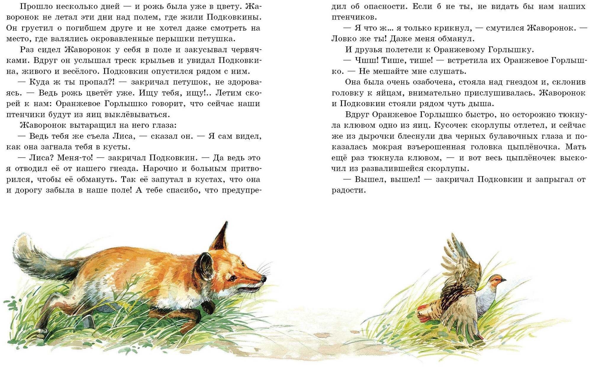 Виталий бианки красная горка краткое содержание. виталий бианки — красная горка: сказка. бианки виталийкрасная горка