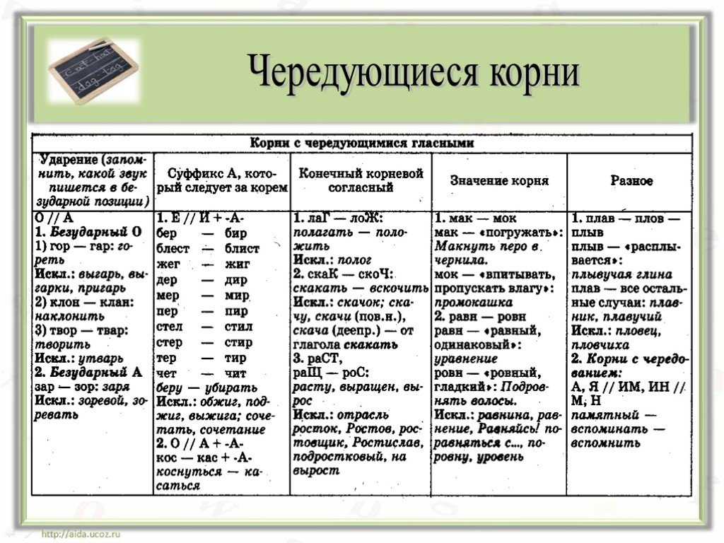 Правописание слов с чередованием гласных букв в корне