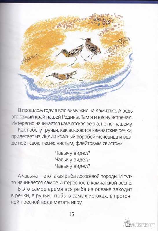 Чарушин никита охотник краткое содержание для читательского. никитка и его друзья