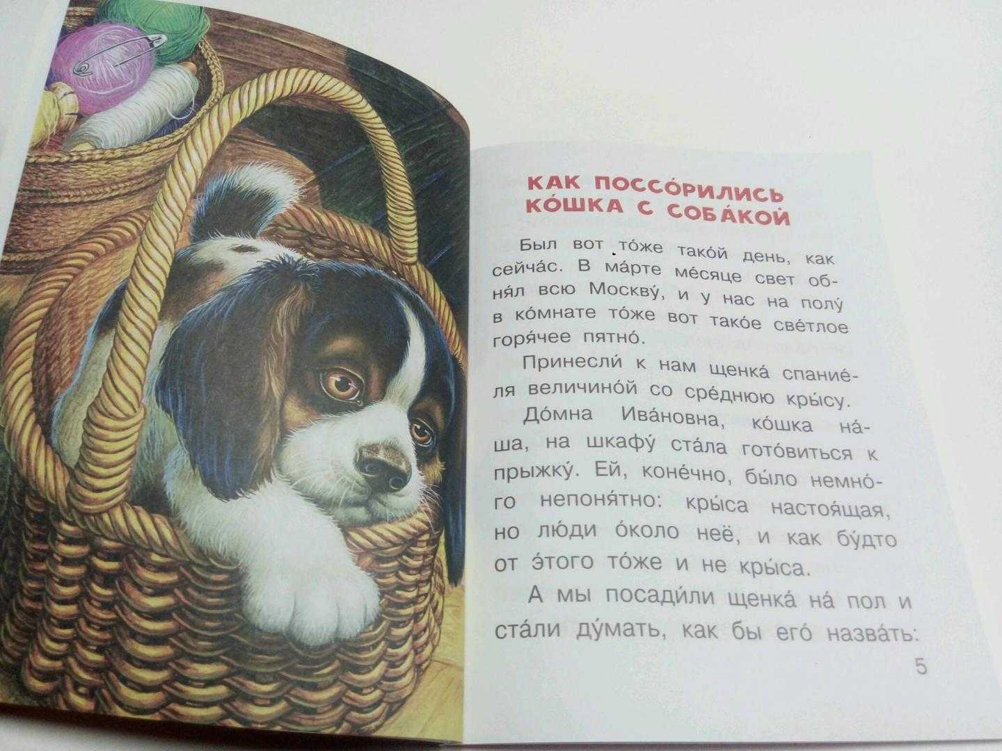 Краткое изложение рассказа михаила пришвина «выскочка» с отзывом для читательского дневника | литерагуру