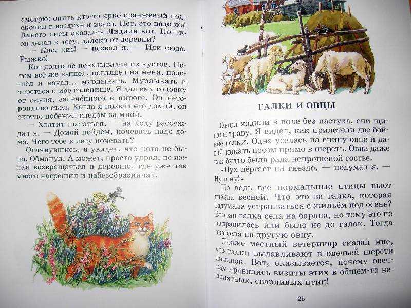 Характеристика главных героев рассказа "малька" | какой смысл