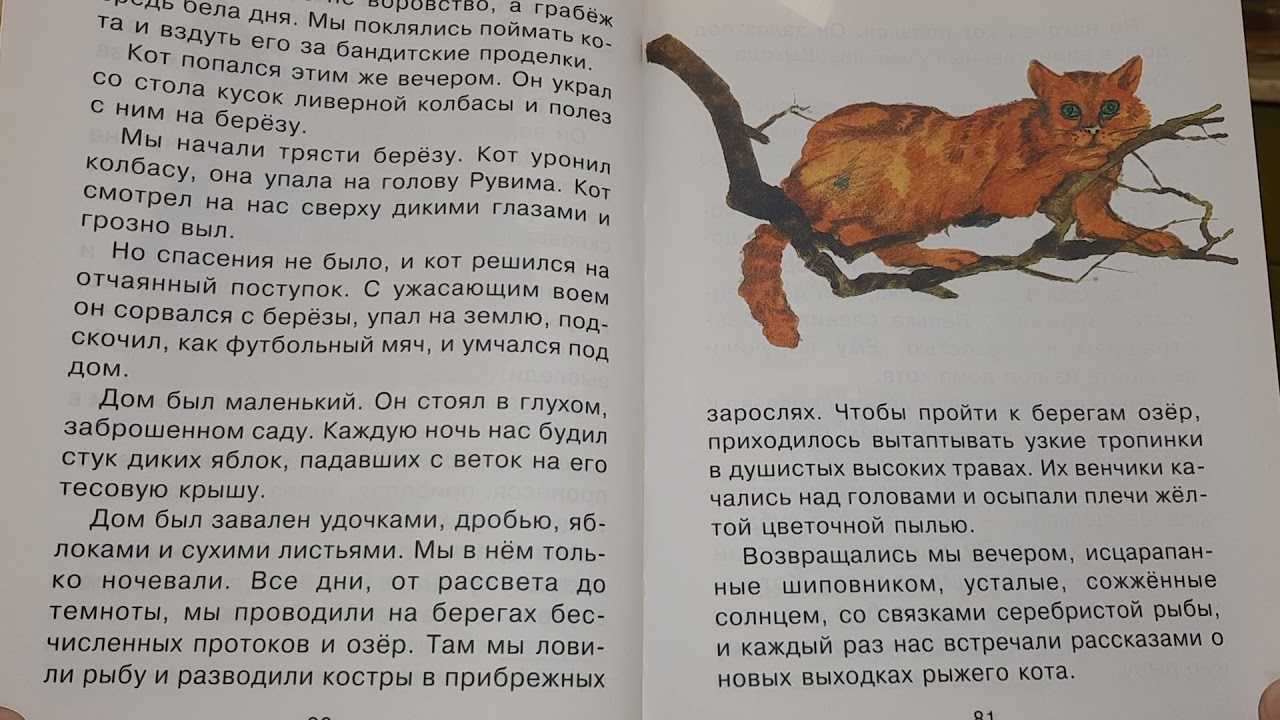 «волшебник изумрудного города» краткое содержание для читательского дневника по сказке волкова (2 класс) – главная мысль, отзыв, сюжет
