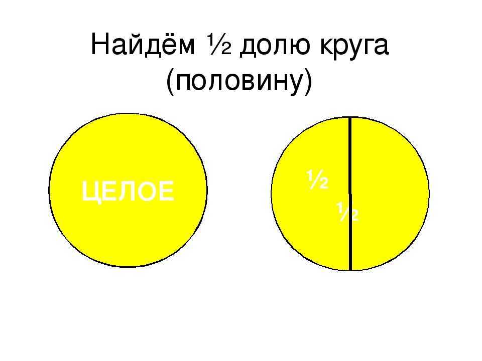 Окружность и круг