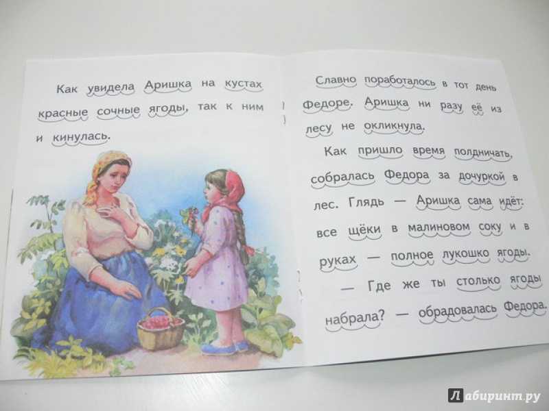 Аришка-трусишка» краткое содержание для читательского дневника по сказке бианки (1 класс); чему