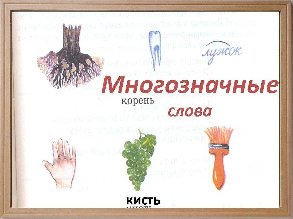 Что такое омонимы в русском языке? примеры - русский язык по таблицам