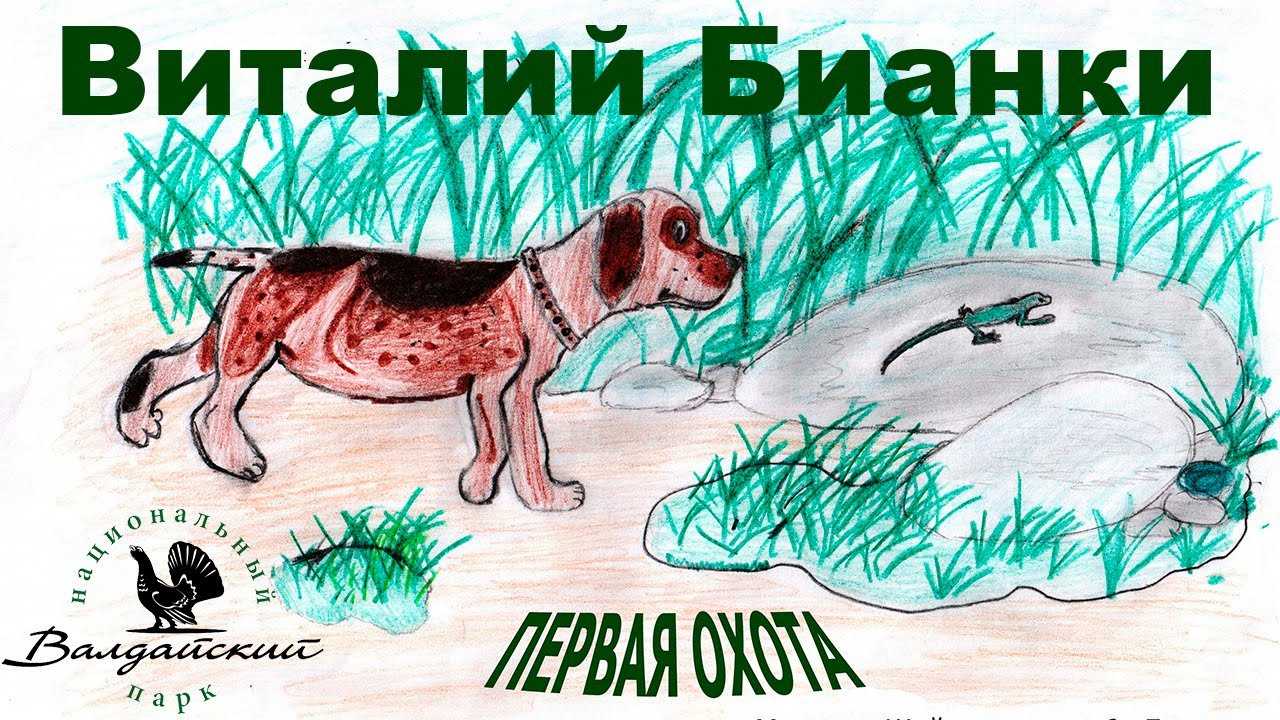 Бианки рассказы о животных читательский дневник - граматика и образование на napishet.ru