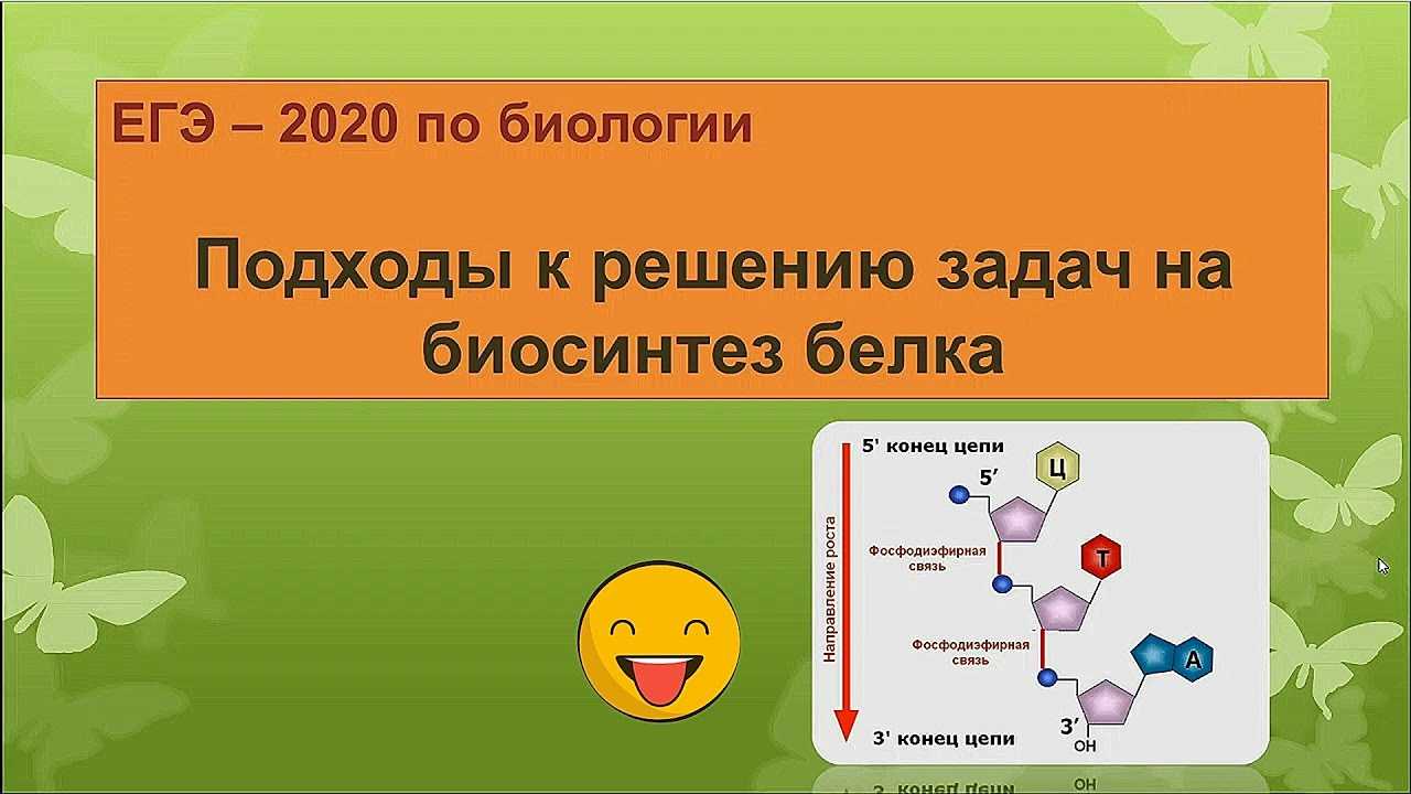 Основные генетические понятия. закономерности наследственности. генетика человека.