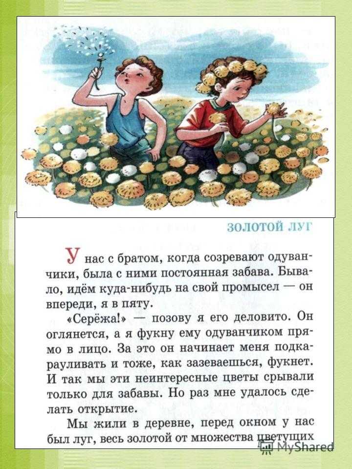 Краткое содержание пришвин еж для читательского дневника, читать краткий пересказ онлайн