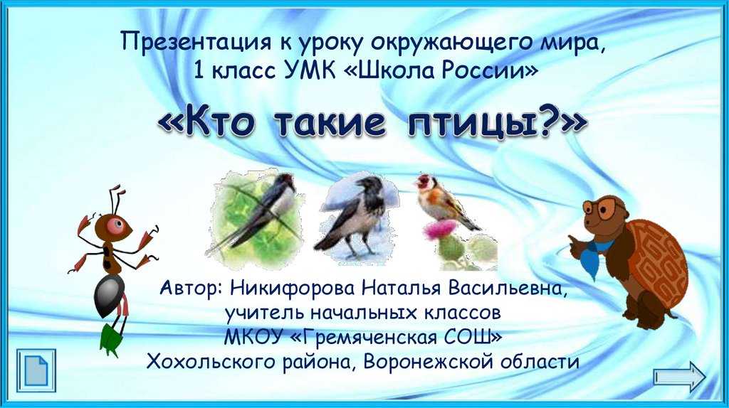 Олимпиада по окружающему миру на учи.ру - обучи.ру - сайт помощи школьникам