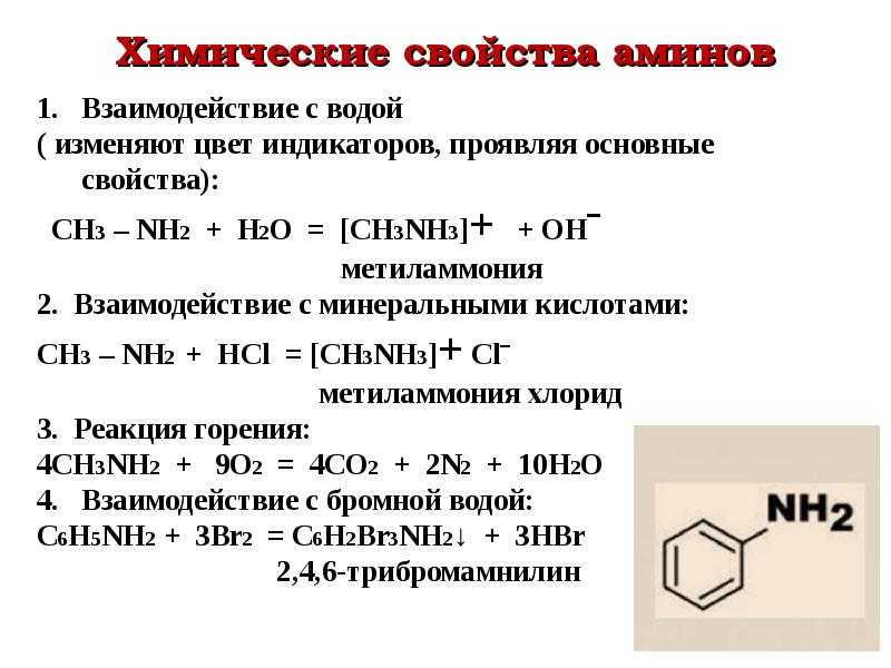Конспект по органической химии: амины - учительpro