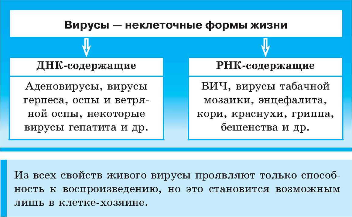 Урок 7: неклеточные формы жизни - 100urokov.ru