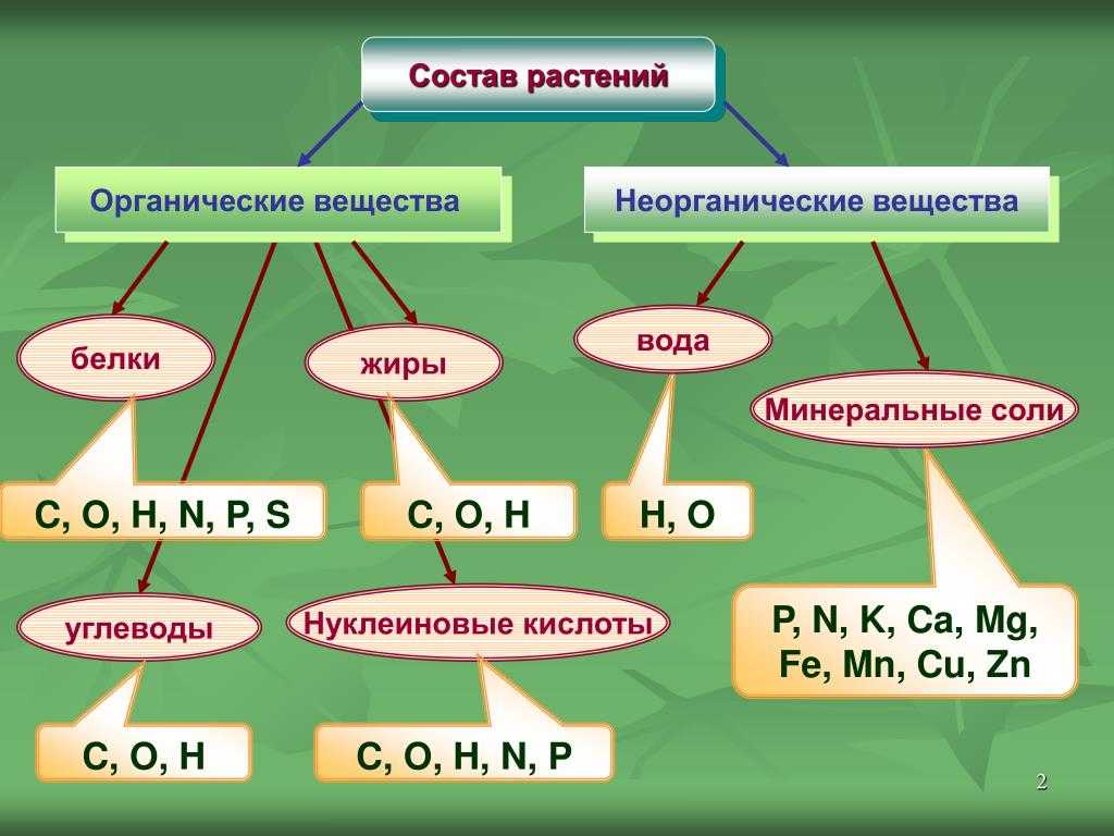 Неорганические вещества — энциклопедия руниверсалис