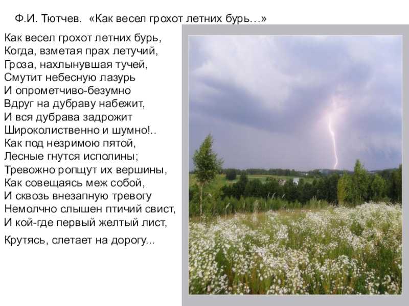 Школьное чтиво: тютчев ф. "как весел грохот летних бурь"