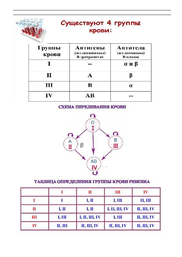 Гдз по биологии 8 класс   пасечник