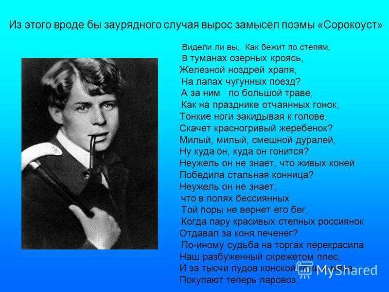 «сорокоуст» (есенин): анализ стихотворения сергея александровича