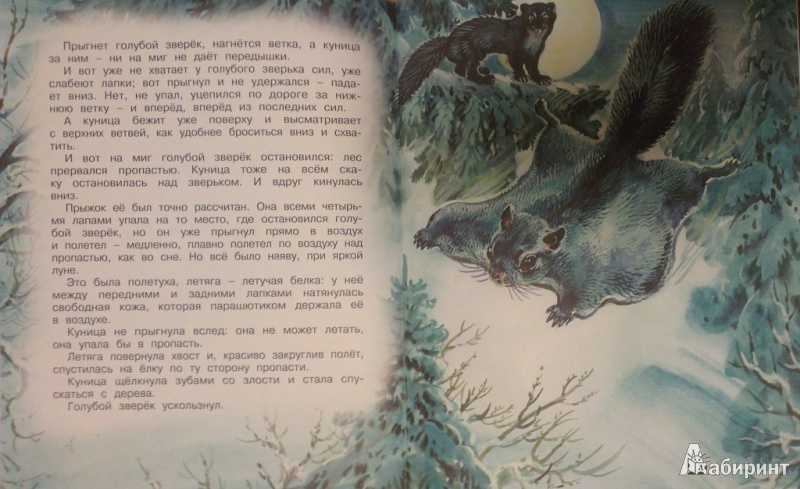 Бианки рассказы о животных читательский дневник - граматика и образование на napishet.ru