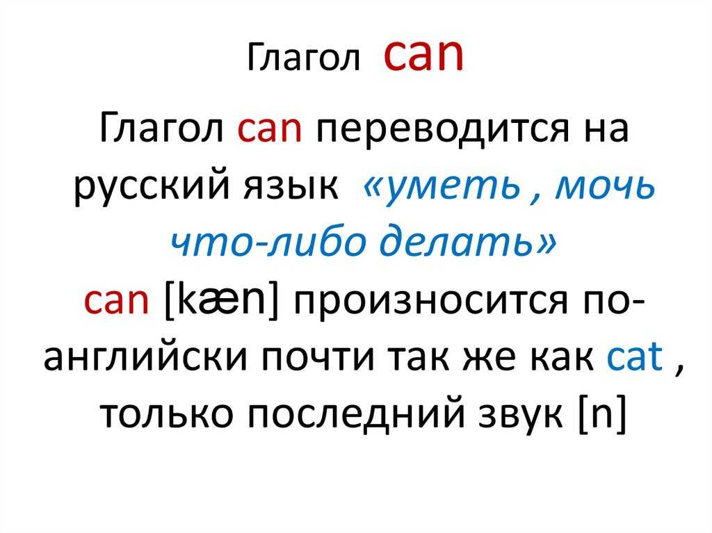 Общие сведения о животном мире
