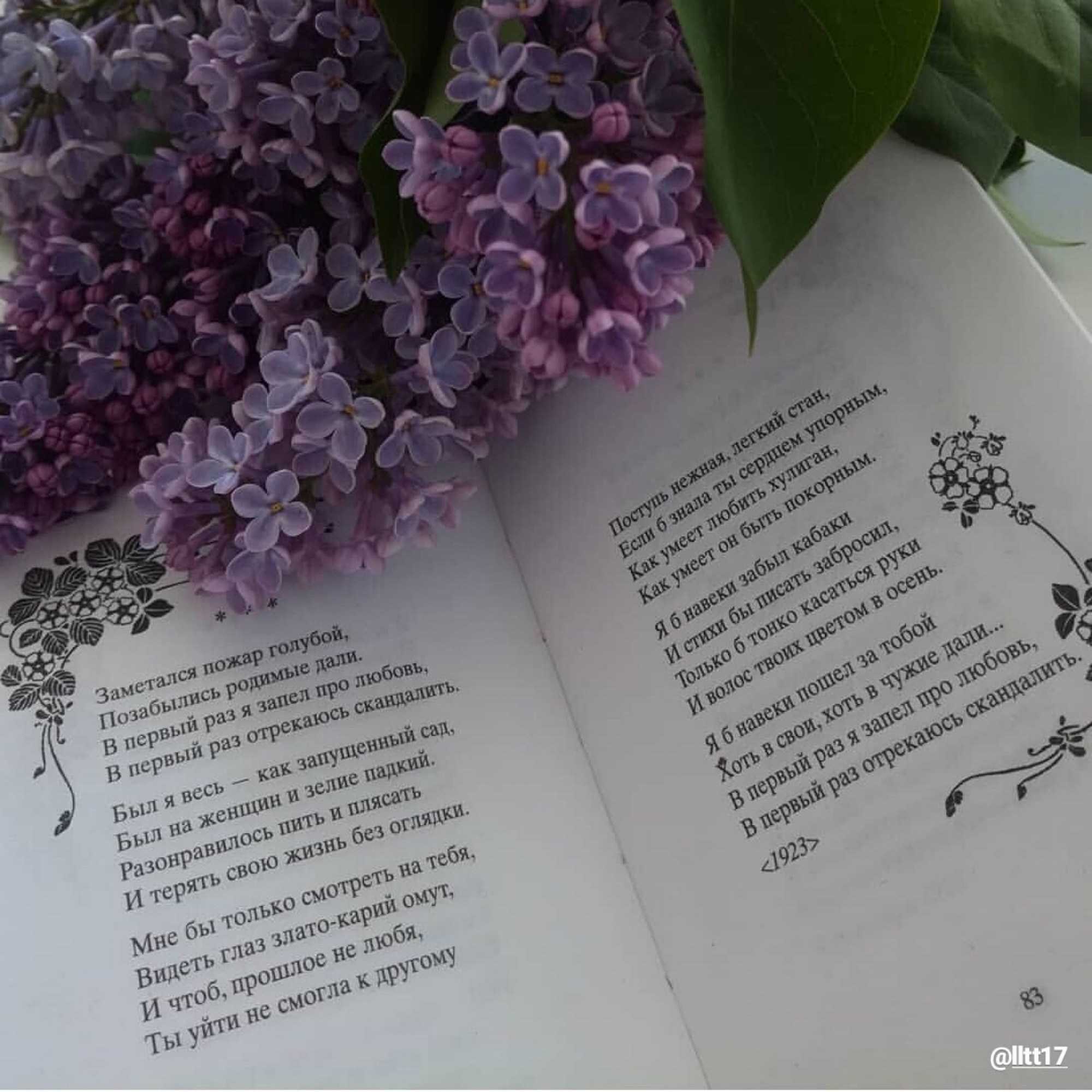 Сергей есенин — заметался пожар голубой: стих