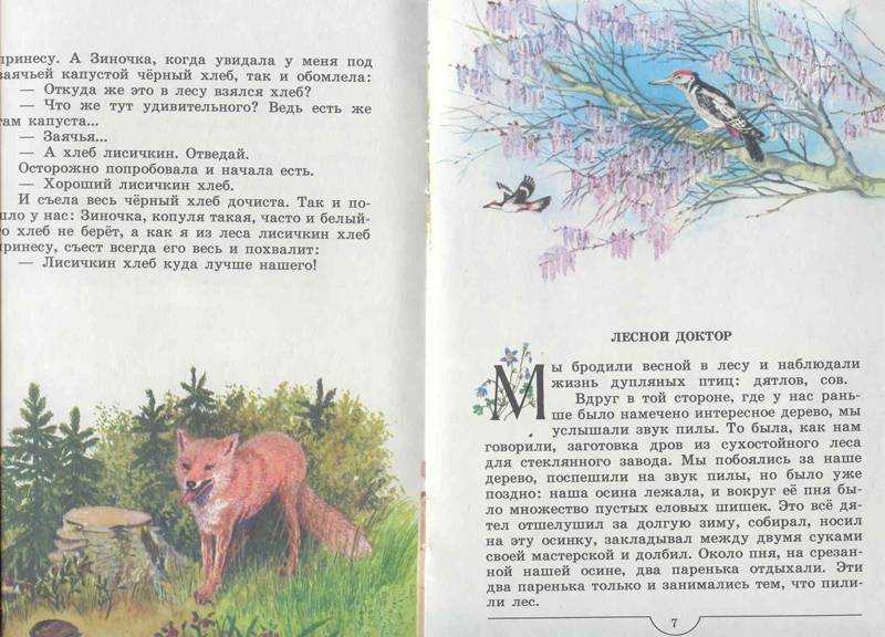 Краткое содержание лесная капель пришвин для читательского дневника nevrit-nevralgiya.ru