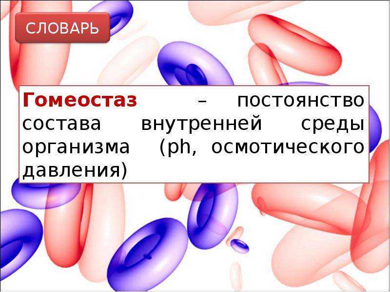 Гдз биология 8 класс рабочая тетрадь пасечник 2019 – гдз биология 8 класс пасечник, швецов