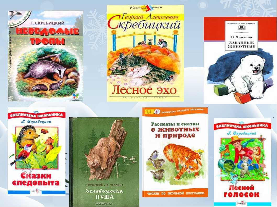 Лесной прадедушка (рассказы о родной природе) — скребицкий г.а.