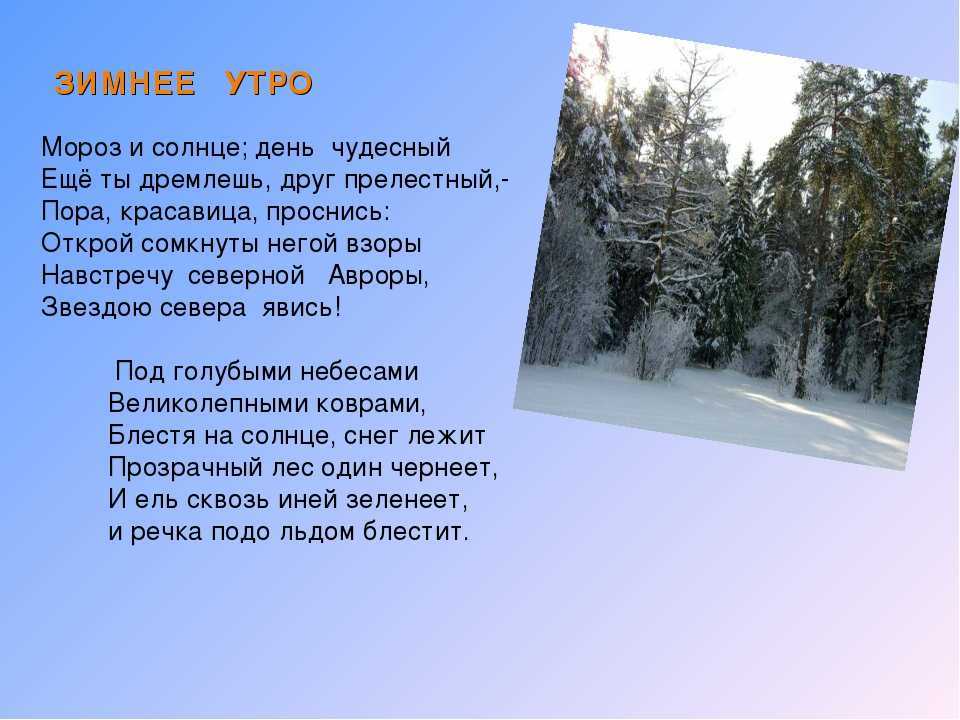 Анализ стихотворения пушкина зимнее утро 3, 6 класс