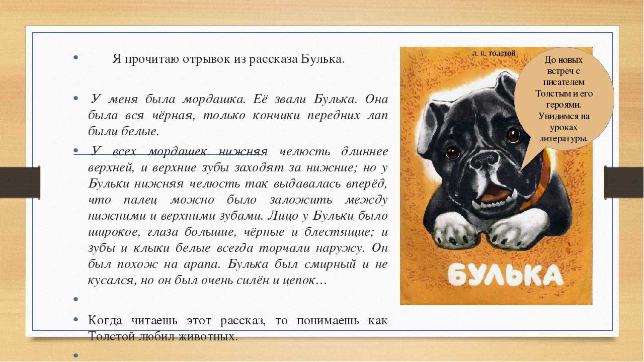 «булька» краткое содержание для читательского дневника по сказке толстого (1 класс) – сюжет, отзыв